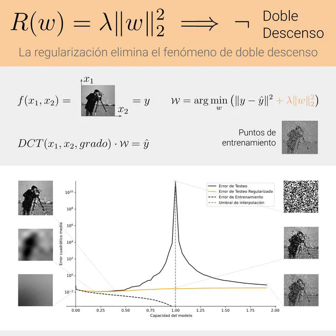 La regularización elimina el fenómeno de doble descenso
