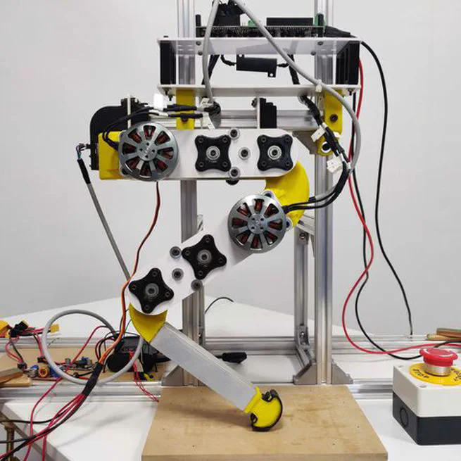 Low-Cost Quadruped Leg Module: Design and Initial Validation