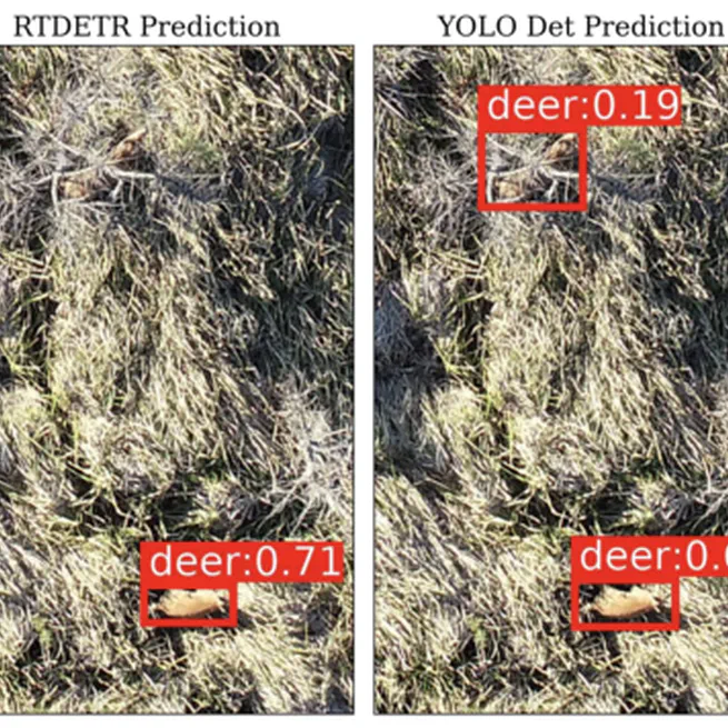 Detection of Endangered Deer Species Using UAV Imagery: A Comparative Study between Efficient Deep Learning Approaches